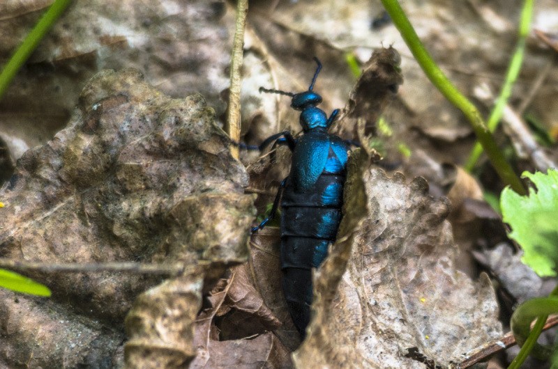 2019_04_23-11_56_40_7