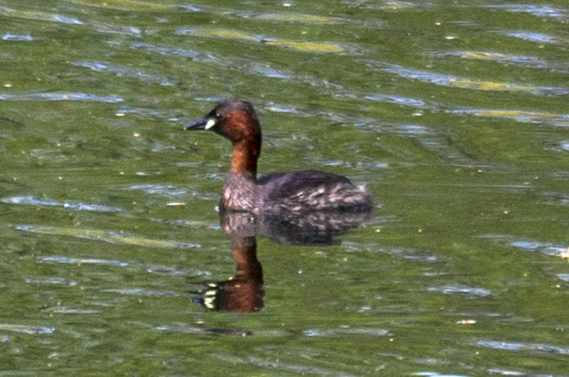 2019_04_23-13_05_59_1