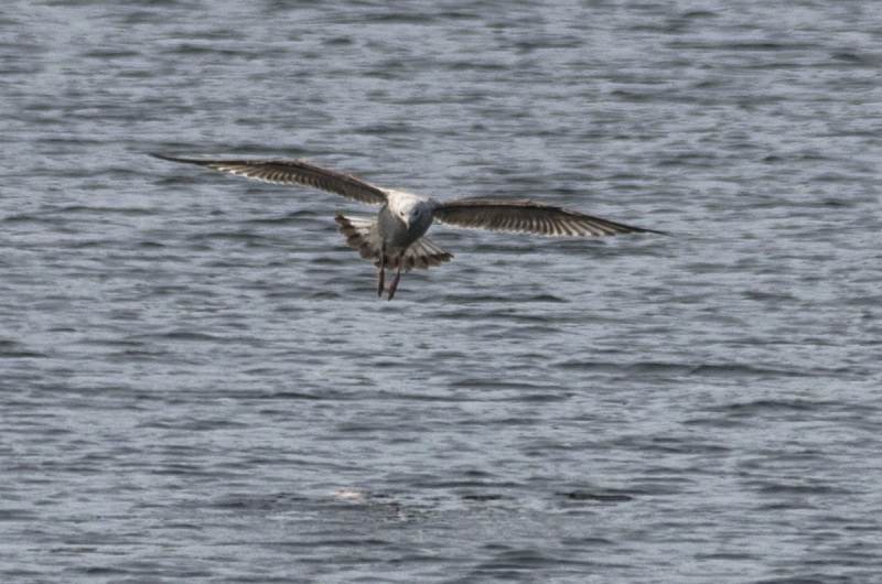 2019_04_23-14_44_10_19