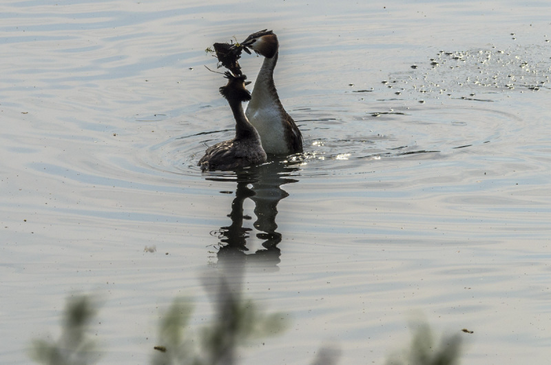 2019_04_23-15_51_58_35