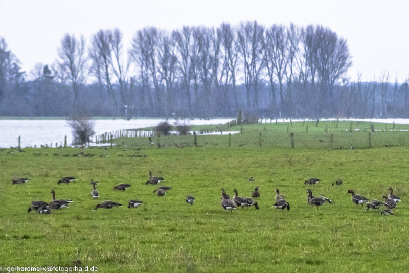 2023-01-20_14-40-35-3