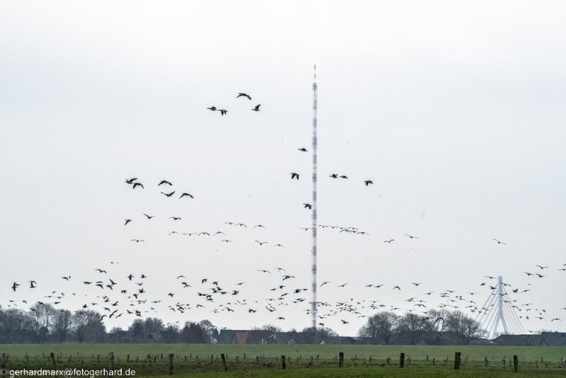 2023-01-20_14-43-14-5