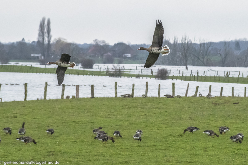 2023-01-20_14-48-49-9