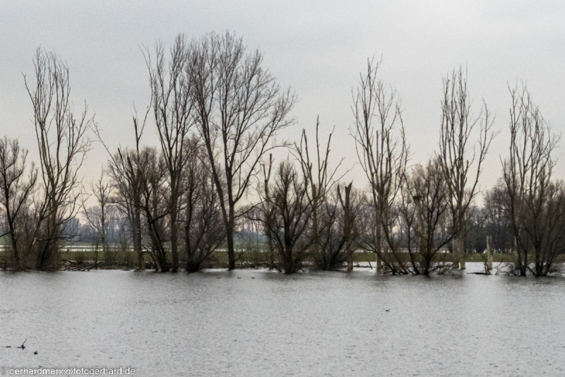 2023-01-20_15-34-01-23