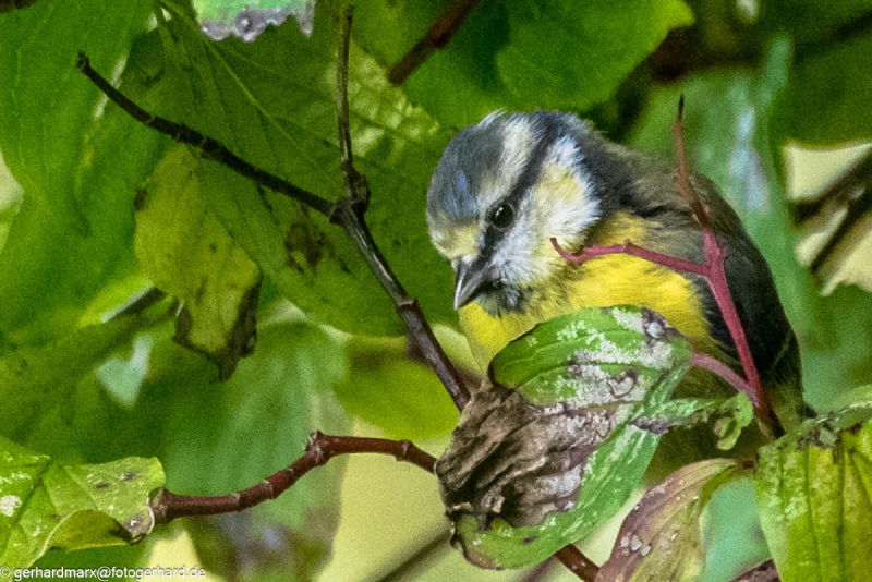 2023-09-04_12-35-21-1