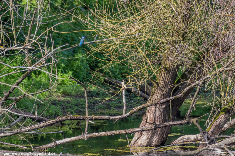 2023-09-04_12-46-43-3