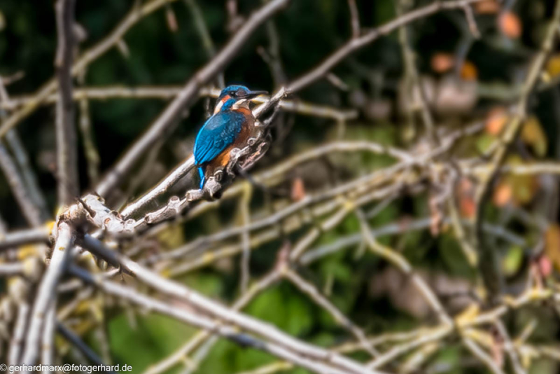 2023-09-04_13-02-29-1