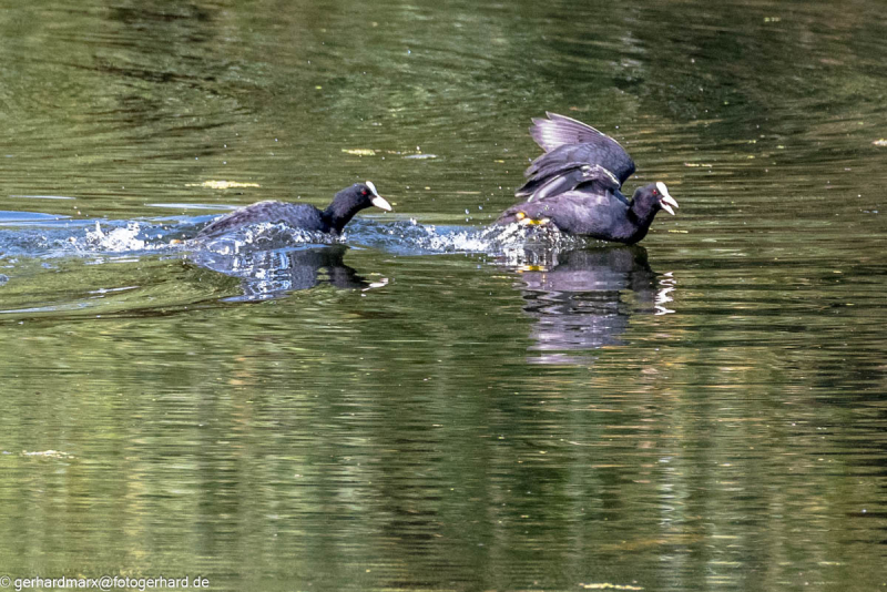 2023-09-04_13-18-31-7