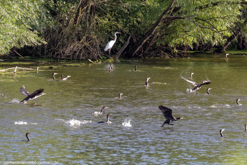 2023-09-04_16-50-53-1