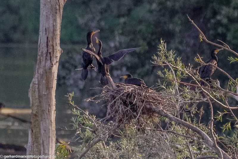 2023-09-04_17-21-27-4