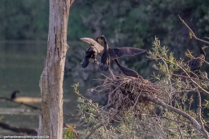 2023-09-04_17-21-46-5