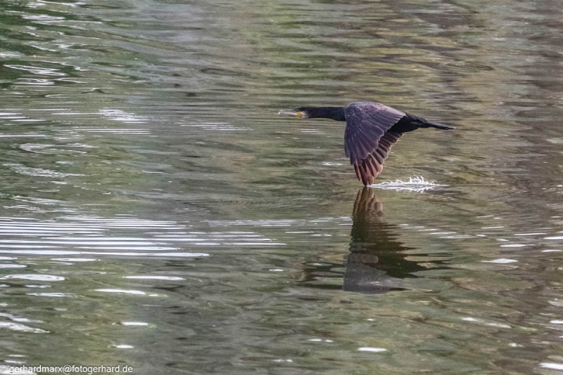 2023-09-04_17-34-53-8