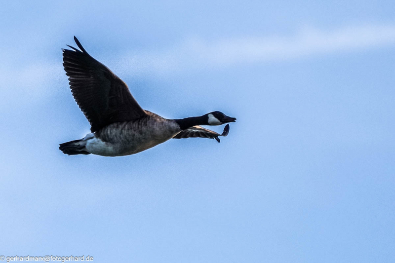 2023-09-04_17-37-35-9