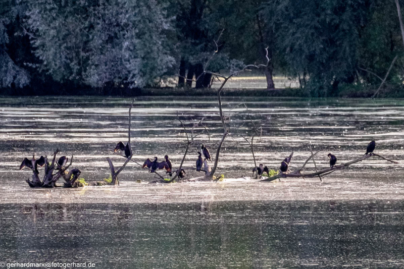 2023-09-04_17-51-06-10