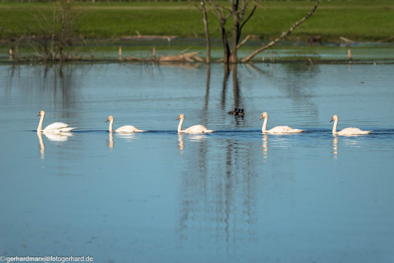 2023-09-05_16-59-59-8