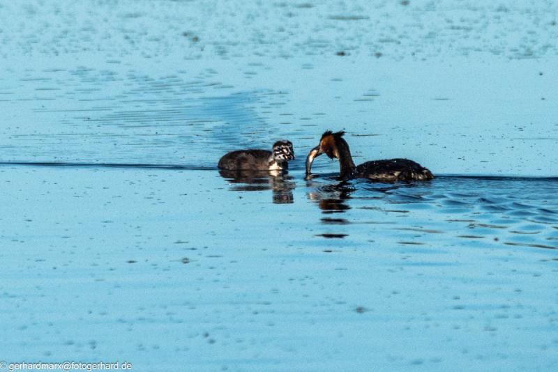 2023-09-05_17-06-24-10