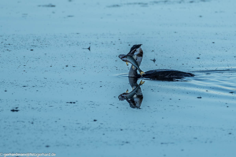 2023-09-05_17-25-22-13