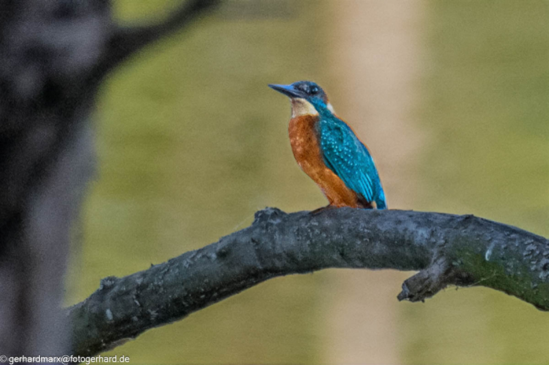 2023-09-05_17-29-23-15