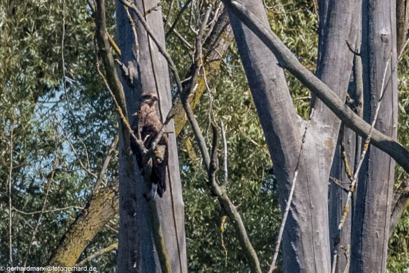 2023-09-06_11-11-49-8