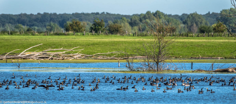 2023-09-06_11-28-09-10