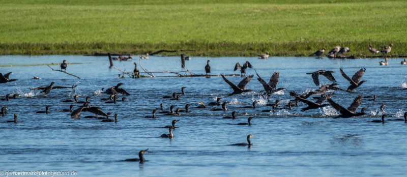 2023-09-06_11-30-36-11