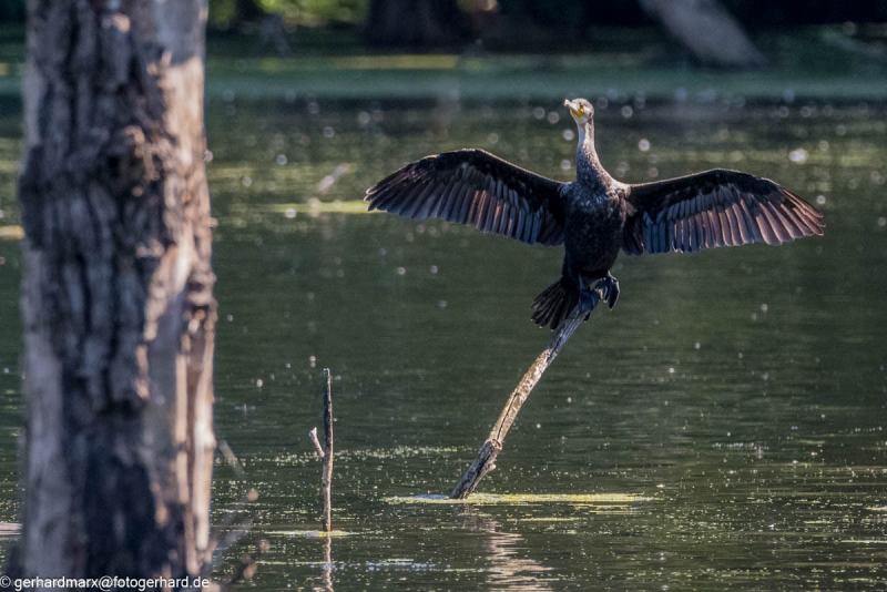 2023-09-06_11-53-14-14