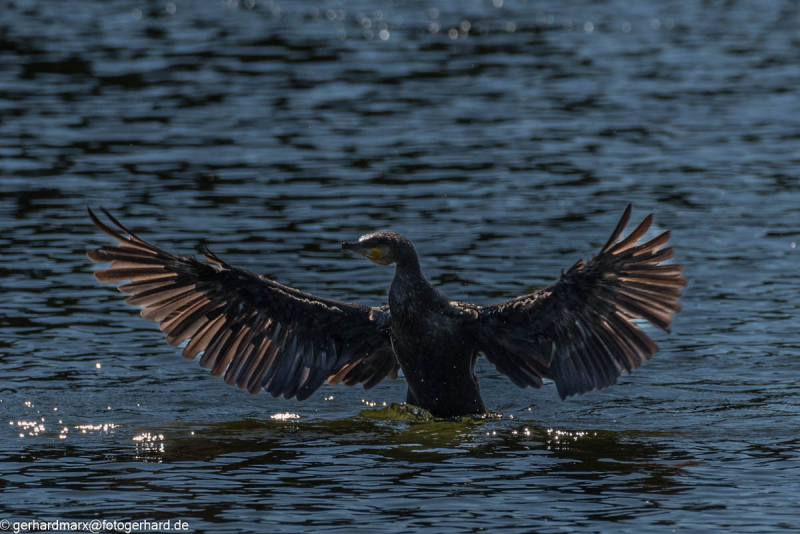 2023-09-06_12-03-07-15