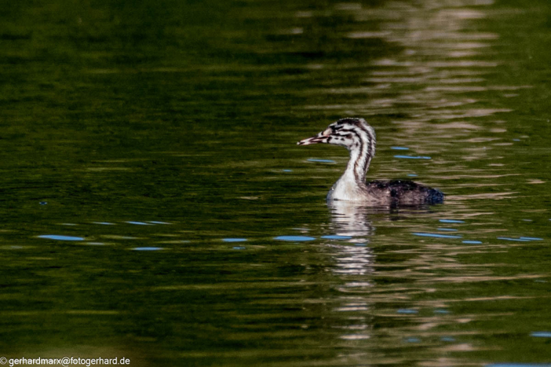 2023-09-06_16-33-26-16