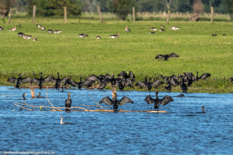 2023-09-06_16-40-42-17