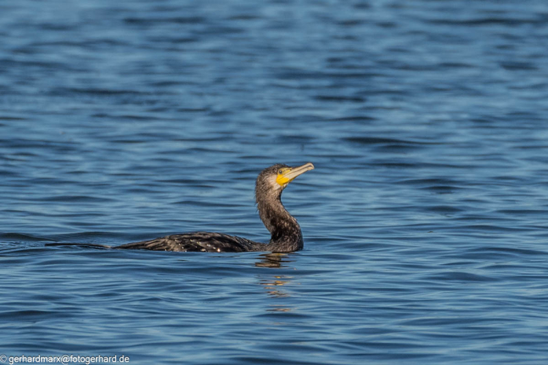 2023-09-06_16-44-00-18