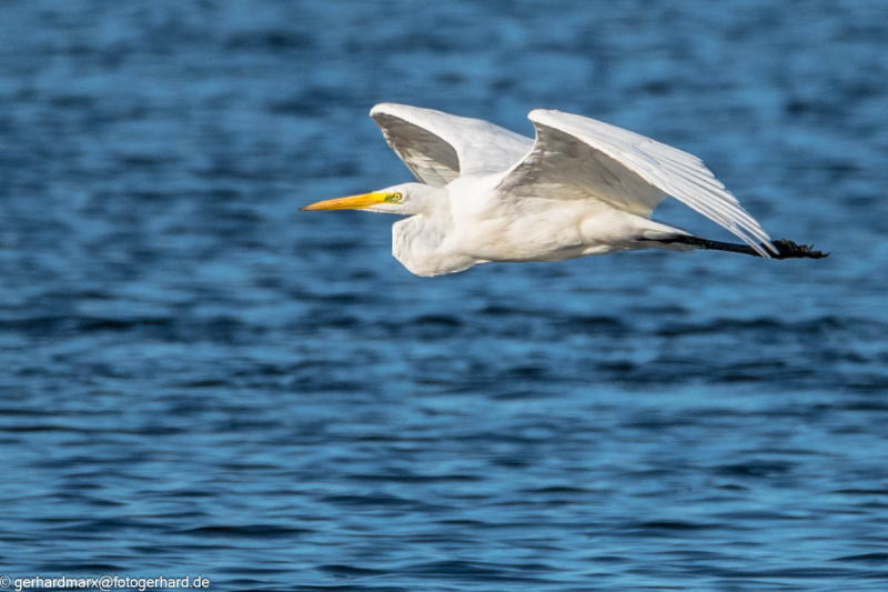 2023-09-06_16-46-41-19