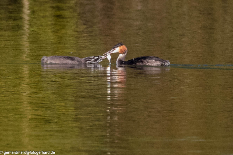 2023-09-06_17-05-48-20