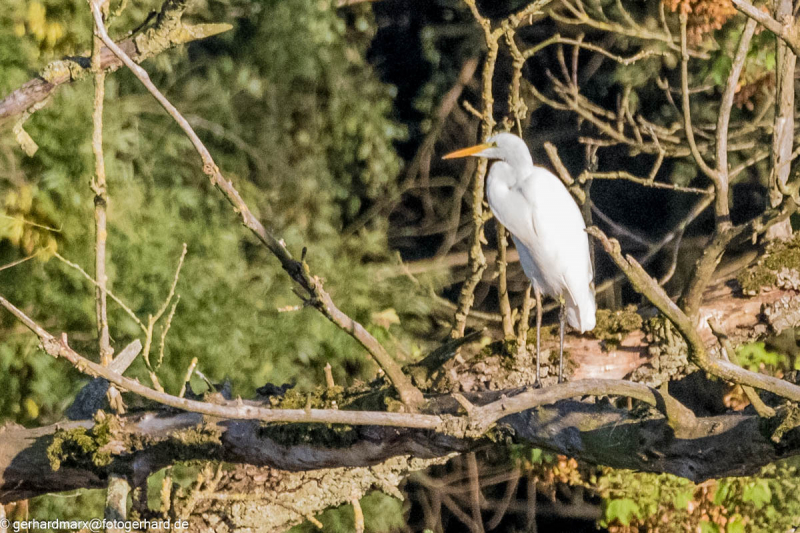 2023-09-06_17-41-44-22