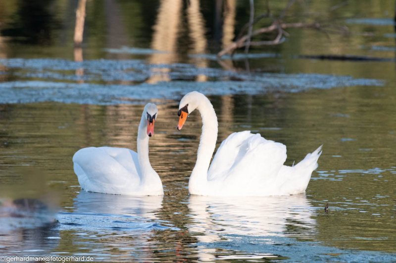 2023-09-06_17-58-35-24