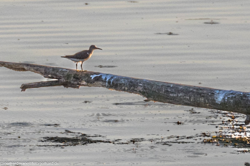 2023-09-06_18-25-09-27