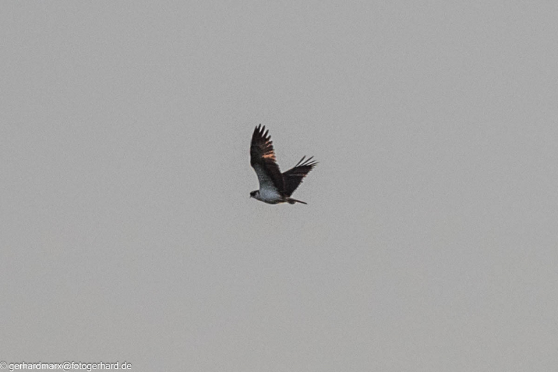 2023-09-06_18-36-45-29