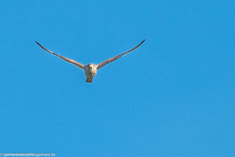 2023-09-07_07-53-06-3