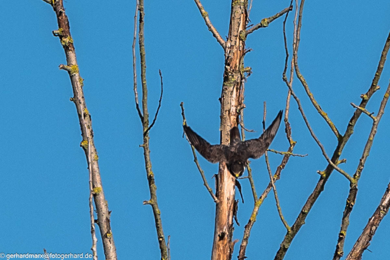 2023-09-07_09-07-33-5