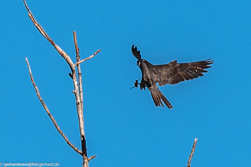 2023-09-07_09-07-44-6