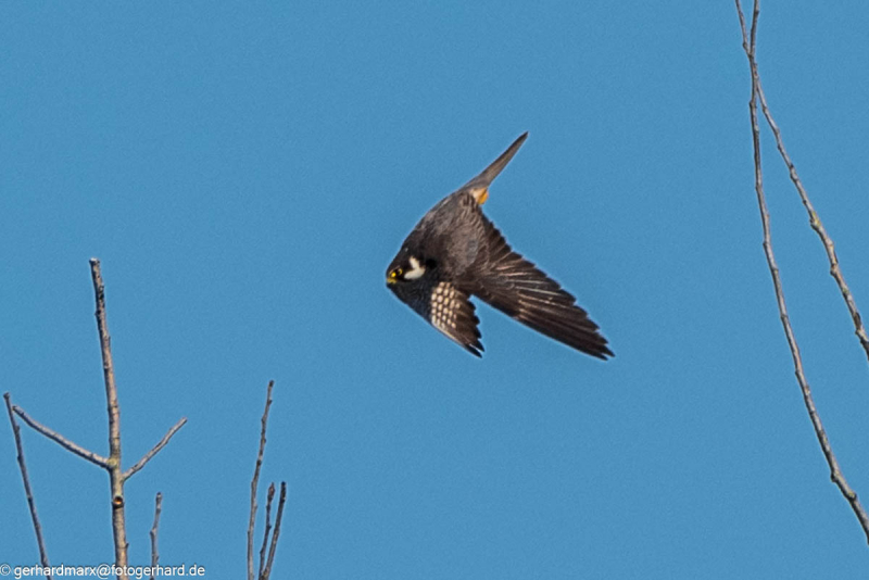 2023-09-07_09-13-08-7