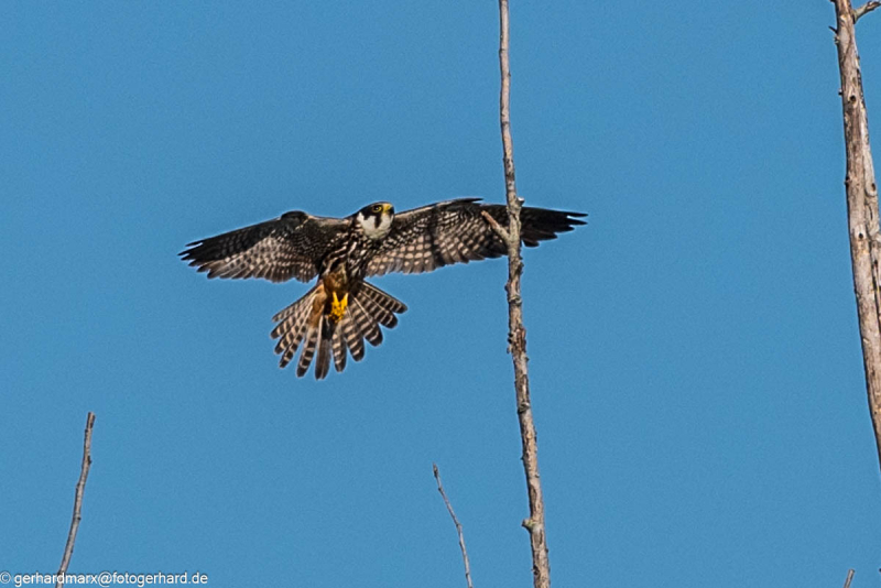 2023-09-07_09-13-14-8