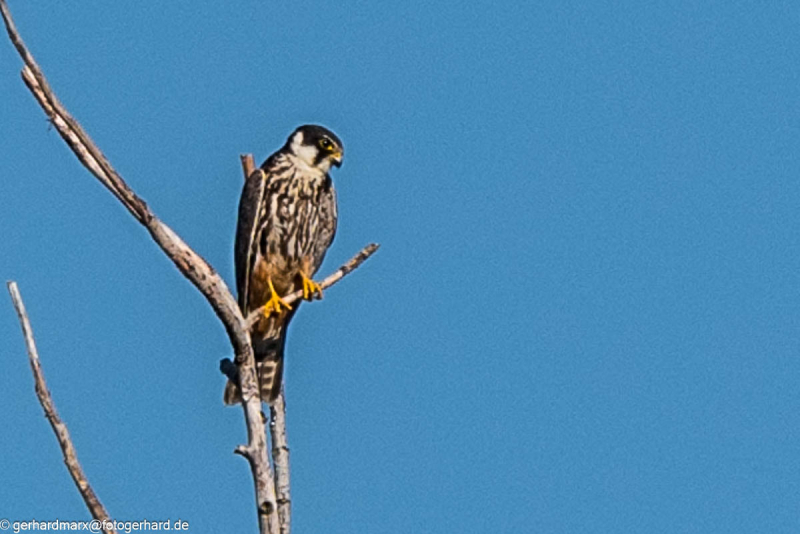 2023-09-07_09-15-12-9