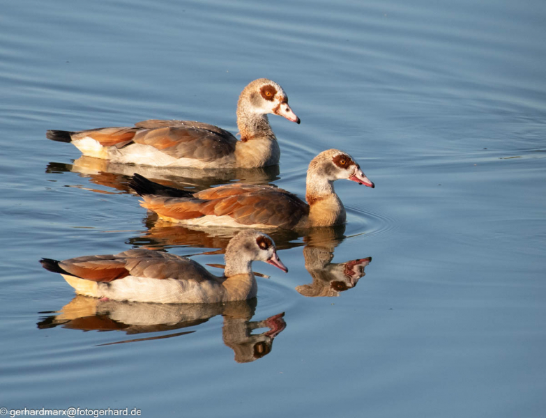 2023-09-08_07-40-35-3