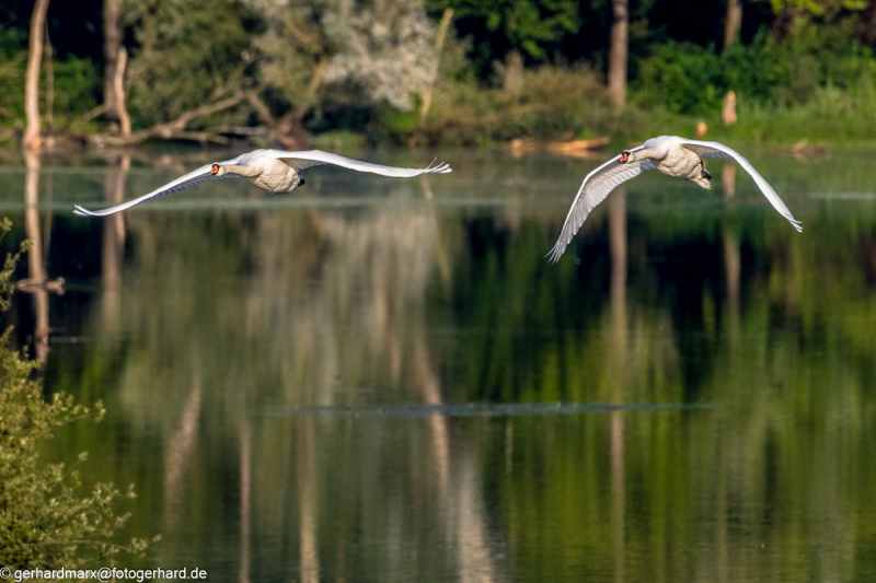 2023-09-08_07-43-10-4