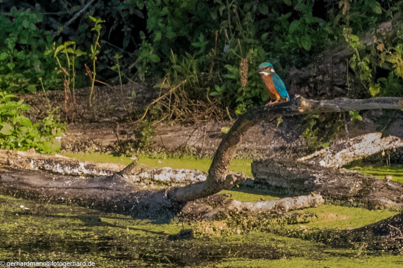 2023-09-08_08-31-48-6