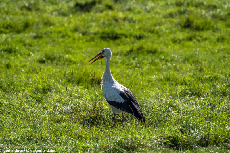 2023-09-08_14-45-46-10