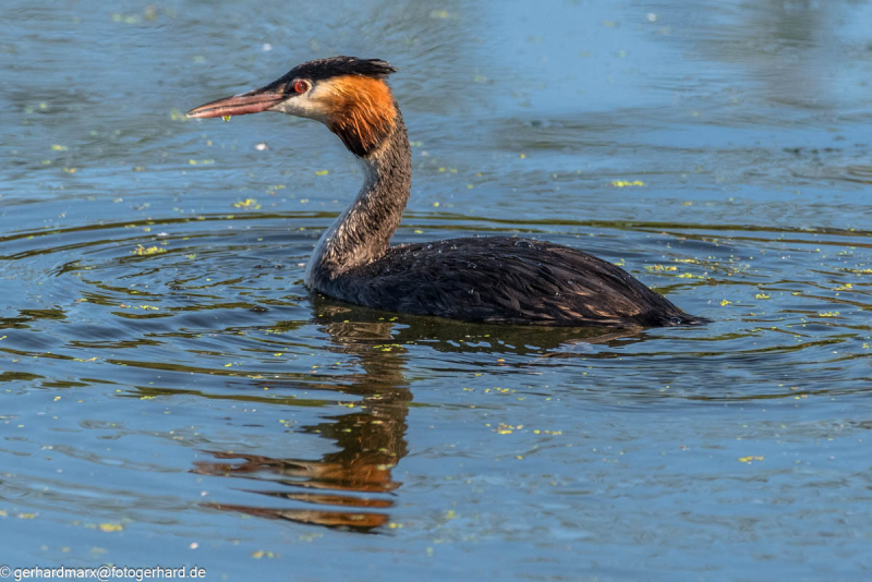 2023-09-08_16-12-26-12