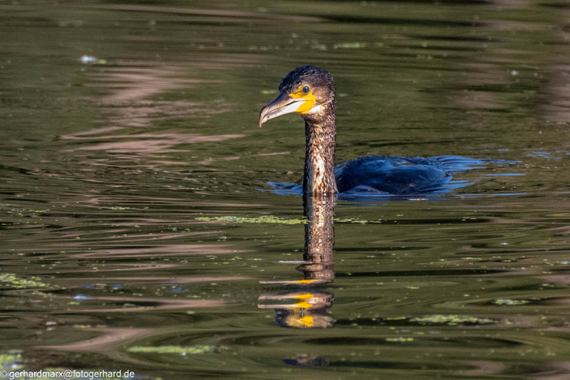 2023-09-08_16-23-27-14