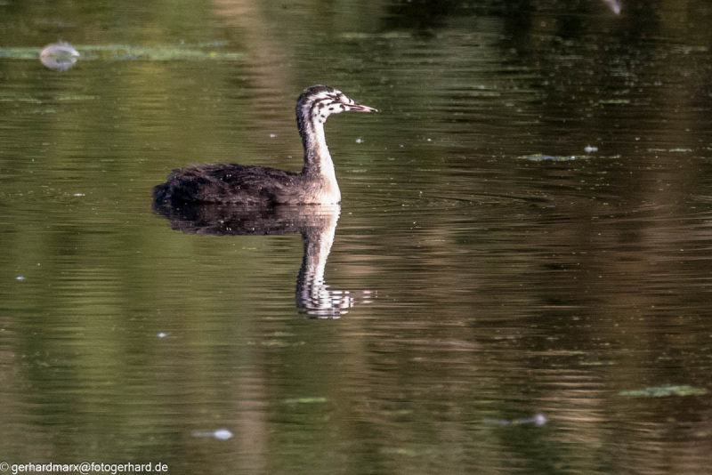 2023-09-08_16-33-53-15