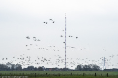 2023-01-20_14-43-14-5